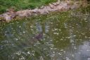 DSC_3176.JPG