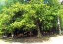DSC00172.JPG