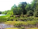 DSC00175.JPG