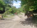 DSC00178.JPG