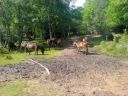 DSC00179.JPG