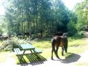 DSC00180.JPG