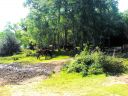 DSC00181.JPG
