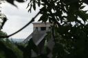 DSC04308.JPG