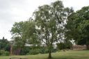 DSC04326.JPG