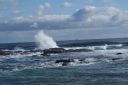 DSC01667.JPG
