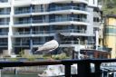 DSC01733.JPG