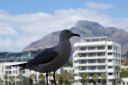 DSC01740.JPG