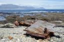 DSC01767.JPG