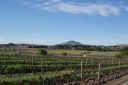 DSC01819.JPG