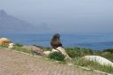 DSC01854.JPG