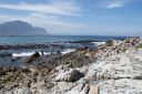DSC01875.JPG