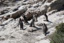 DSC01877.JPG