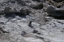 DSC01882.JPG