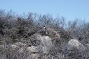 DSC01883.JPG