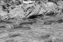 DSC01889.JPG