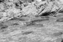 DSC01890.JPG