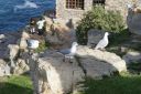 DSC01914.JPG