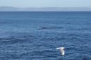 DSC01919.JPG