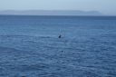 DSC01924.JPG