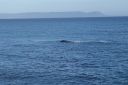 DSC01928.JPG