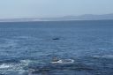 DSC01931.JPG