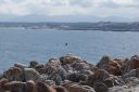 DSC01937.JPG
