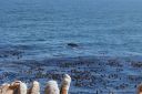 DSC01944.JPG
