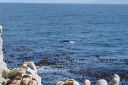 DSC01946.JPG