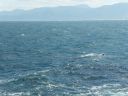 SDC10865.JPG