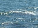 SDC10866.JPG
