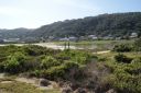 DSC01977.JPG