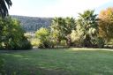 DSC01985.JPG