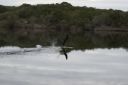 DSC02059.JPG