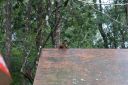 DSC02072.JPG