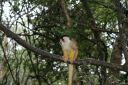 DSC02076.JPG
