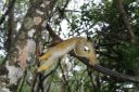 DSC02077.JPG