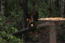 DSC02079.JPG
