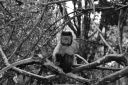 DSC02104.JPG