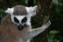 DSC02116.JPG