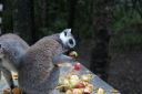 DSC02120.JPG