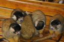 DSC02126.JPG