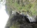SDC10997.JPG