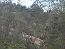 SDC11003.JPG