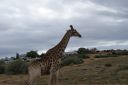 DSC02228.JPG