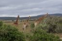 DSC02236.JPG