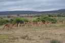 DSC02240.JPG