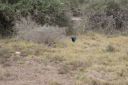 DSC02258.JPG