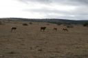 DSC02263.JPG