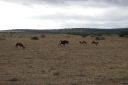 DSC02264.JPG